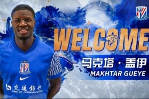 记者：申花下赛季改打433阵型可能性非常大，发挥盖伊支点作用