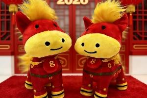 @全体吧友，留言抽直播吧2026专属玩偶，祝吧友们新年所行皆坦途